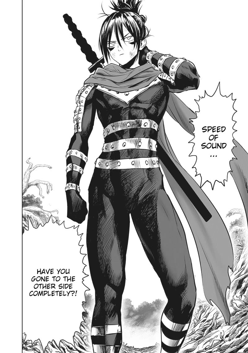 One Punch Man - Chapter 199.5 image 09